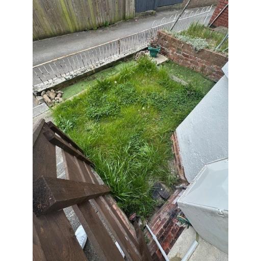 3 Walker Terrace - Garden.jpg
