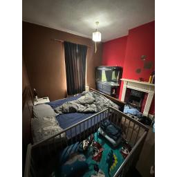 WhatsApp Image 2026-01-29 at 11.58.35 (1).jpg